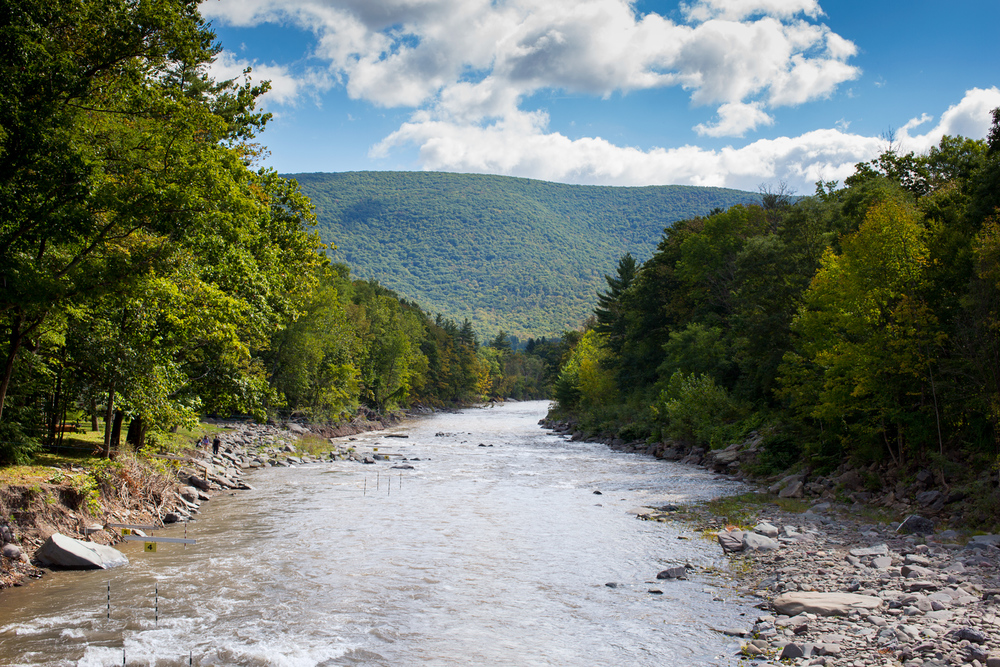 Where To Stay, Eat, and Shop in the Catskills This Summer