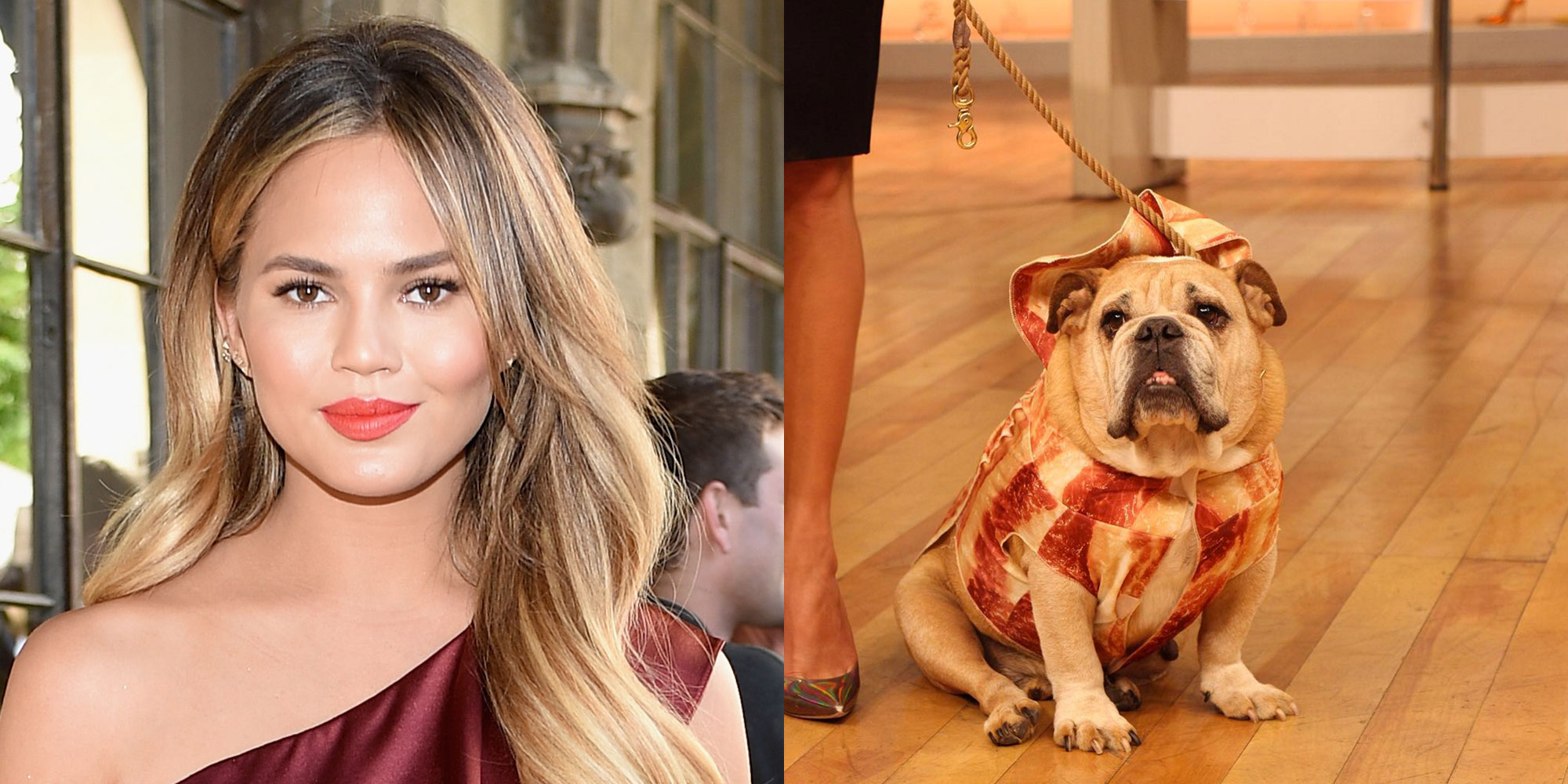 The Best Pet Costumes From celebrities