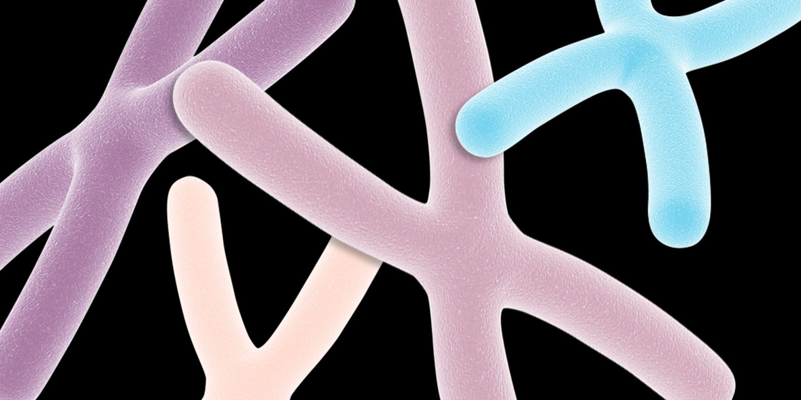 This Is the Ideal Diet for Telomere Heath