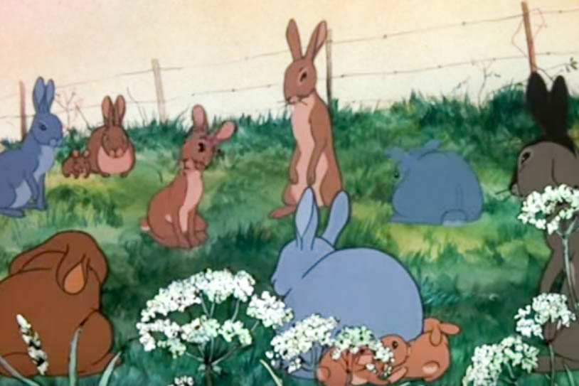 The filmmakers should really apologize to anyone who watched this thinking it'd be some innocuous Peter the Rabbit or Thumper-from-Bambi type movie. Do not be fooled by the "It's a beautiful day" narration in the trailer, which is quickly followed with "Or is it?" Indeed. This animated adventure, adapted from Richard Adams' novel, is brutal in how it puts adorable cartoon bunnies in constant danger—think blood-soaked fields and disturbing deaths—as they try to find a new home. This harrowing tale's political allegory and poetic tone will leave the viewer shook. 