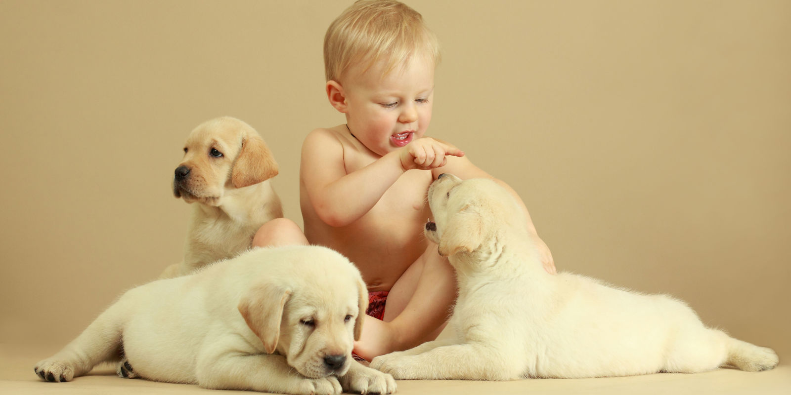 Getting a Dog While You're Pregnant Could Mean Having a Healthier Baby